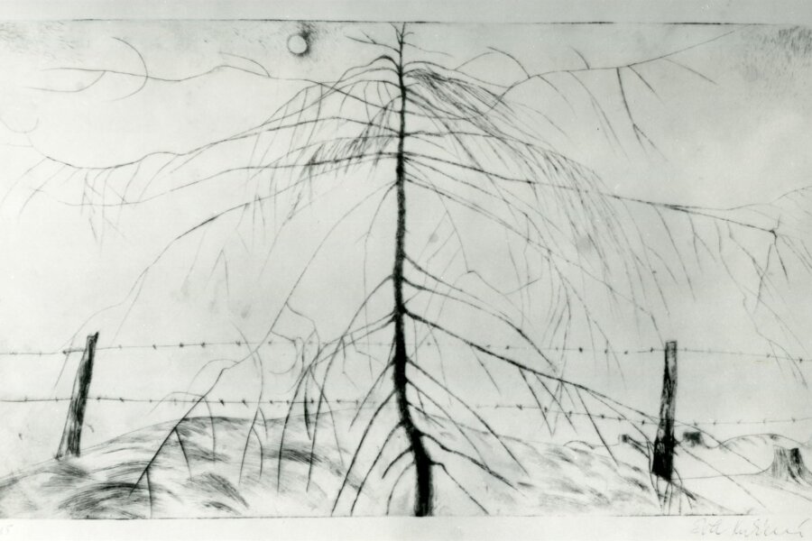 Romantický strom, suchá jehla (vystavena na Bienale v Chlebu na Konfrontaci v Teplicích na trienale v Krakově)